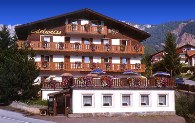 Edelweiss Vigo di Fassa